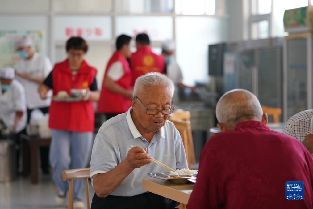 59博策略白菜大全